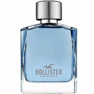 Hollister California Wave For Him
