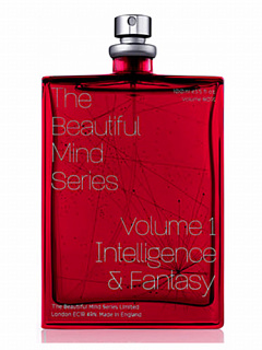 The Beautiful Mind Volume 1 Intelligence & Fantasy