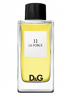 Dolce & Gabbana 11 La Force